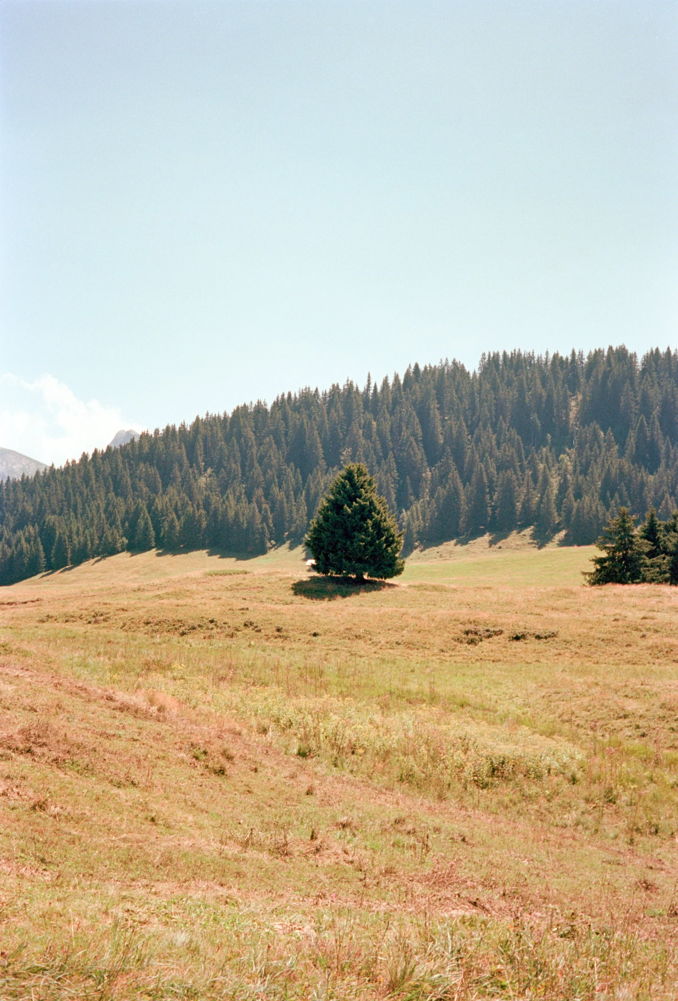 Places, analog photograph 32